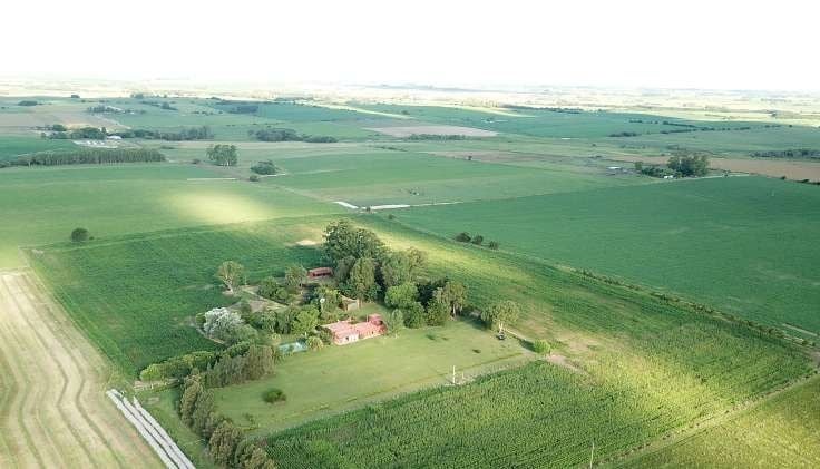 Catharinas farm in Uruguay