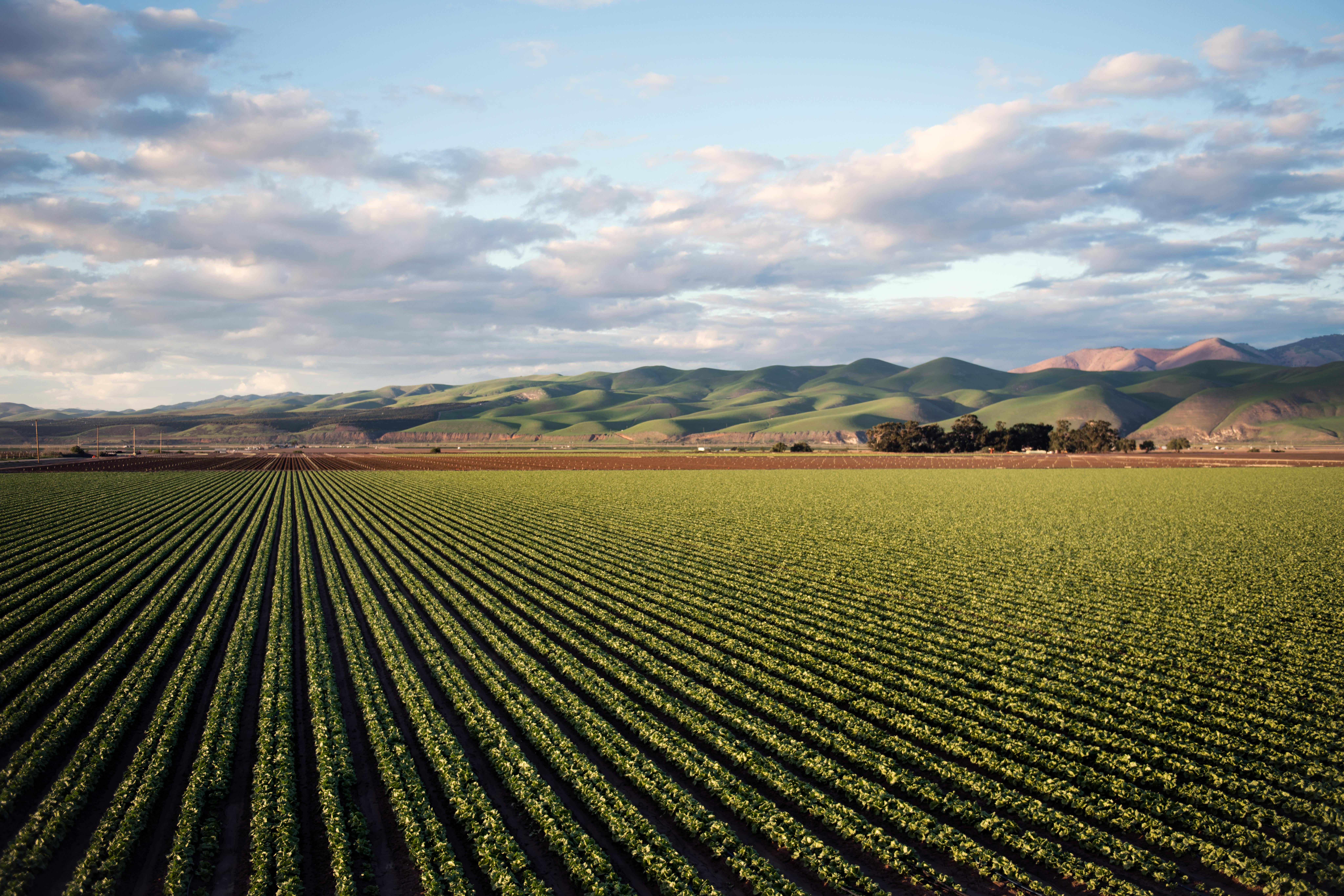 field surrounded with mountains